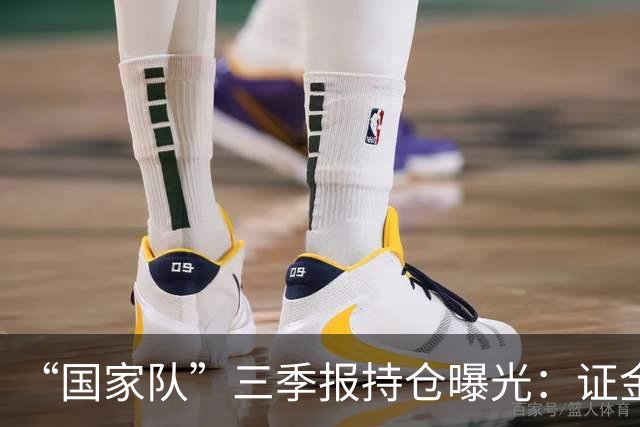 “国家队”三季报持仓曝光:证金重仓中国神华,社保基金增持中金岭南