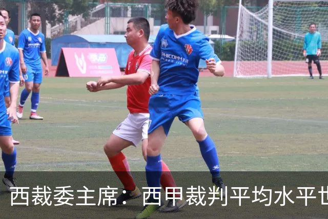 西裁委主席：西甲裁判平均水平世界最佳，误判过去现在未来都会有